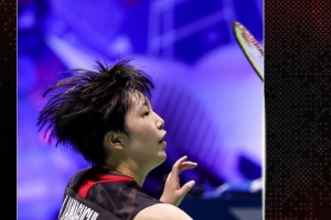 球球迷的心 球球迷的心